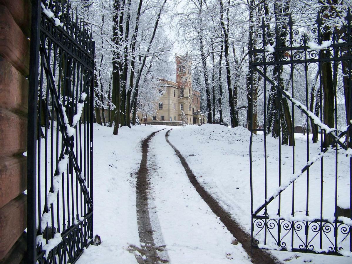 Palac Dabrowica Dabrowica  Exterior foto